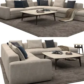 Poliform dune sofa